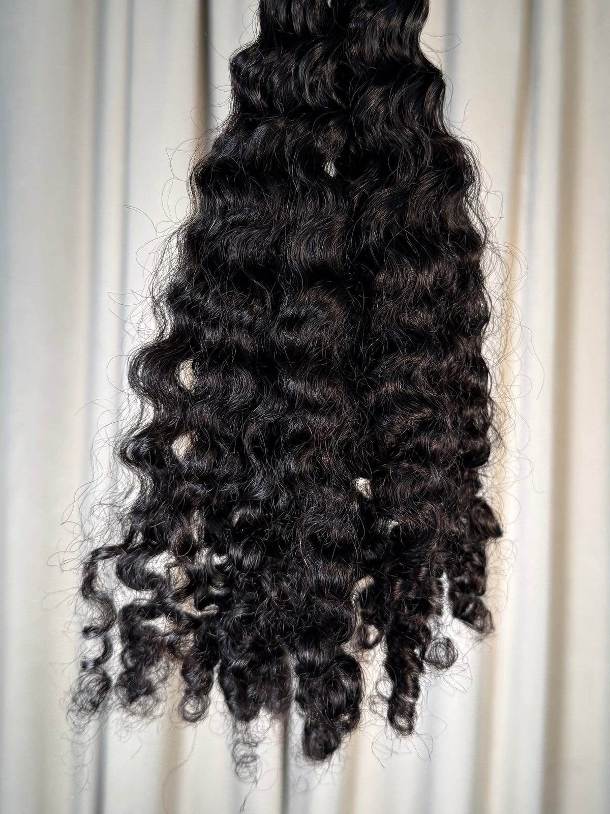 Burmese Curly