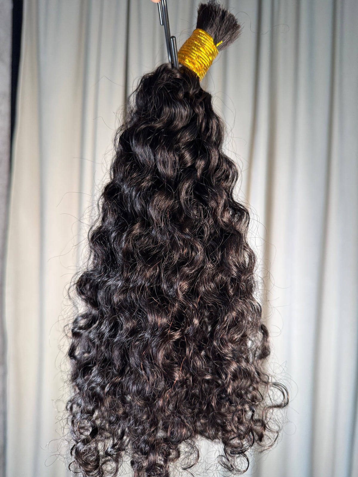 Spanish Curly