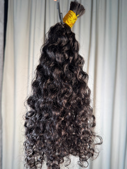 Spanish Curly
