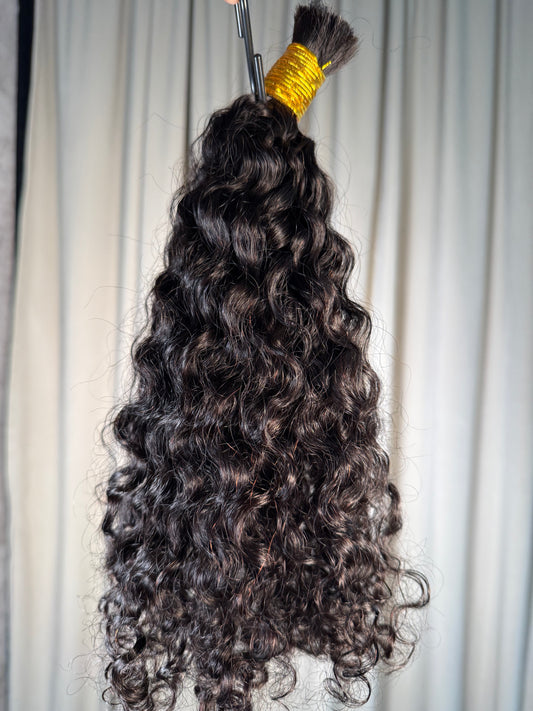 Spanish Curly